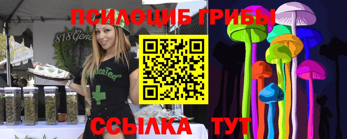 Кизляр  закладка  Вход с VPN  Галлюциногенные грибы мицелий  Галлюциногенные грибы MAGIC MUSHROOMS 